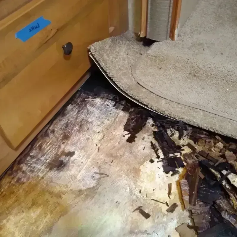 Best Wood Floor Water Damage Service in Shaker Heights, OH